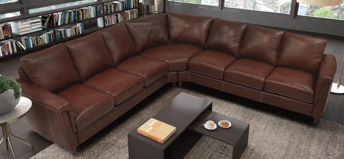 Omnia sectional store
